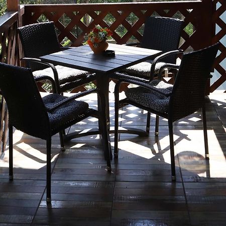 Przytulny Apartament-Cosy And Beautiful Żywiec Εξωτερικό φωτογραφία